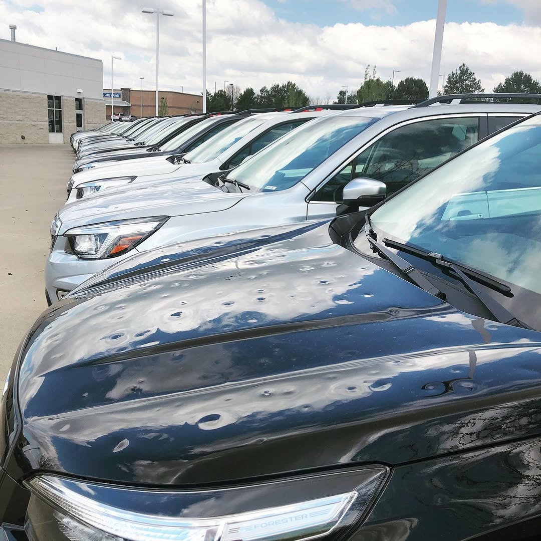 Hail Damage